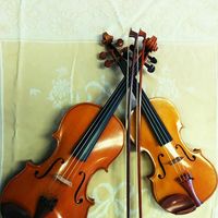 Telford & Sons Violins logo