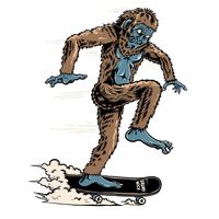 Boise Skateboard supply logo