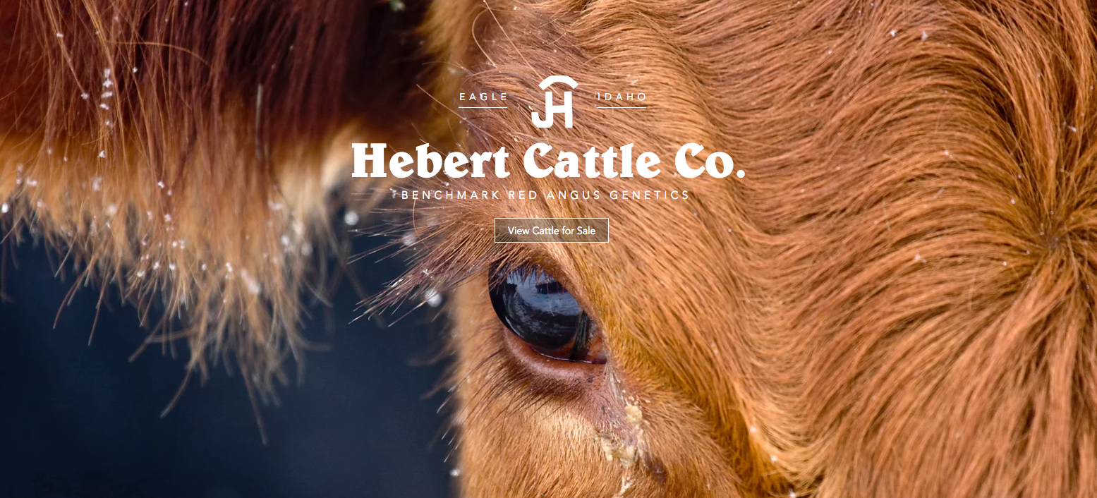 Hebert Cattle Co| Benchmark Red Angus Genetics logo