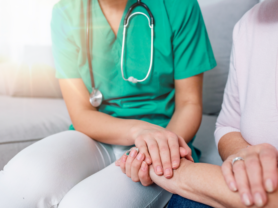 Havenwood Home Care - Boise logo