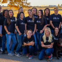 Daisy Days House Cleaning Boise logo